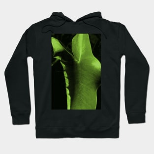 greenleaf Hoodie